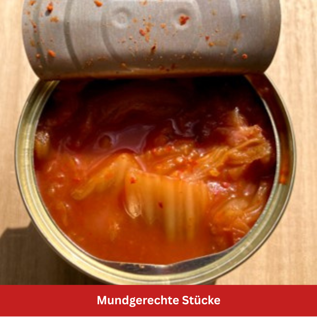 Kimchi mundgerechte Stücke Stillife